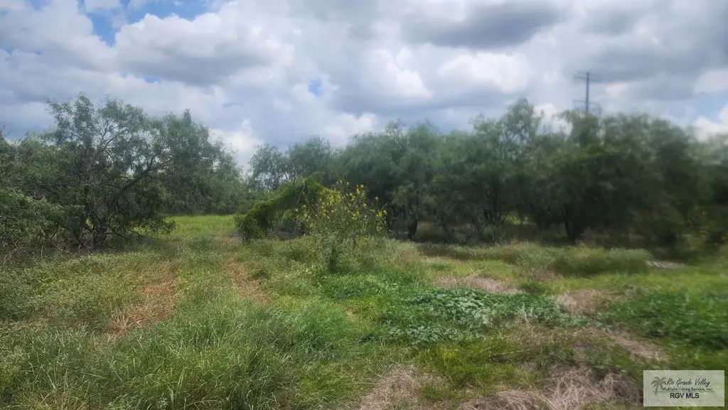 31099 Fm 1575 N/a, LOS FRESNOS