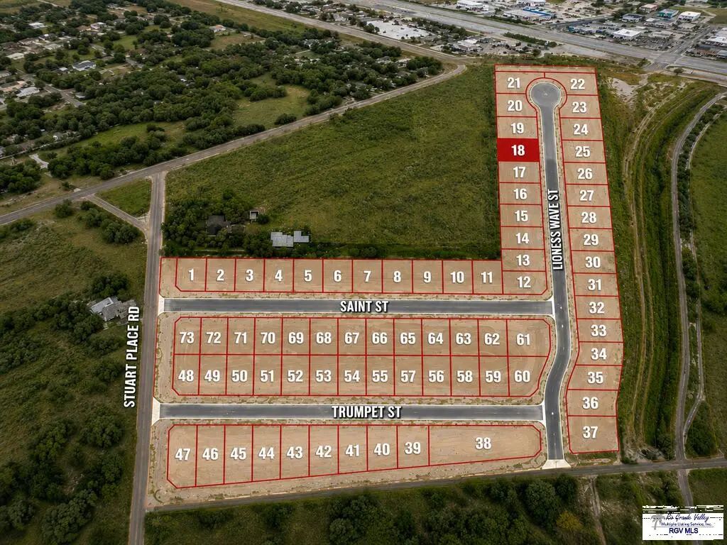 Lot #18 Lioness Wave St Lot 18, HARLINGEN