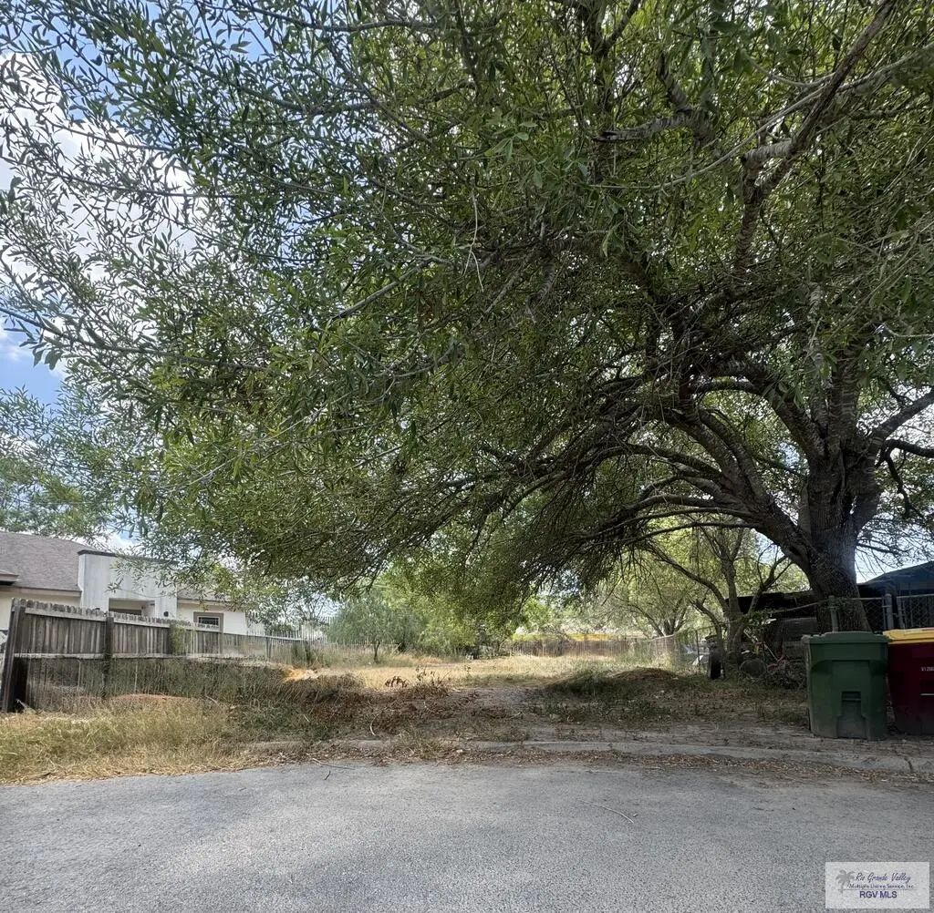 Santa Cruz St. Lot#26, BROWNSVILLE