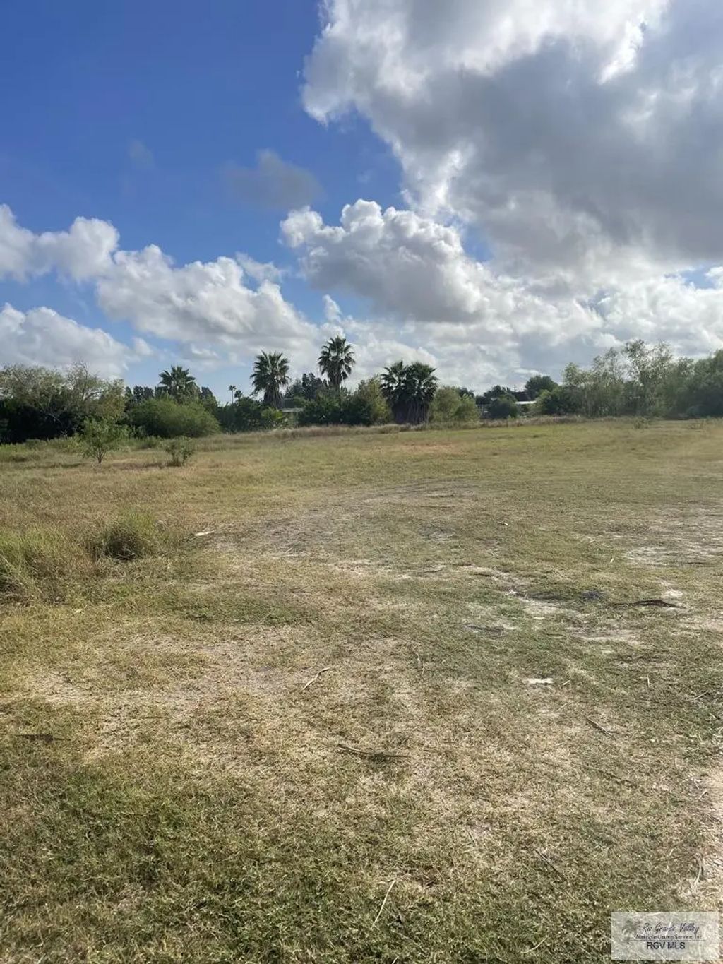 Vermillion Ave. 1, BROWNSVILLE