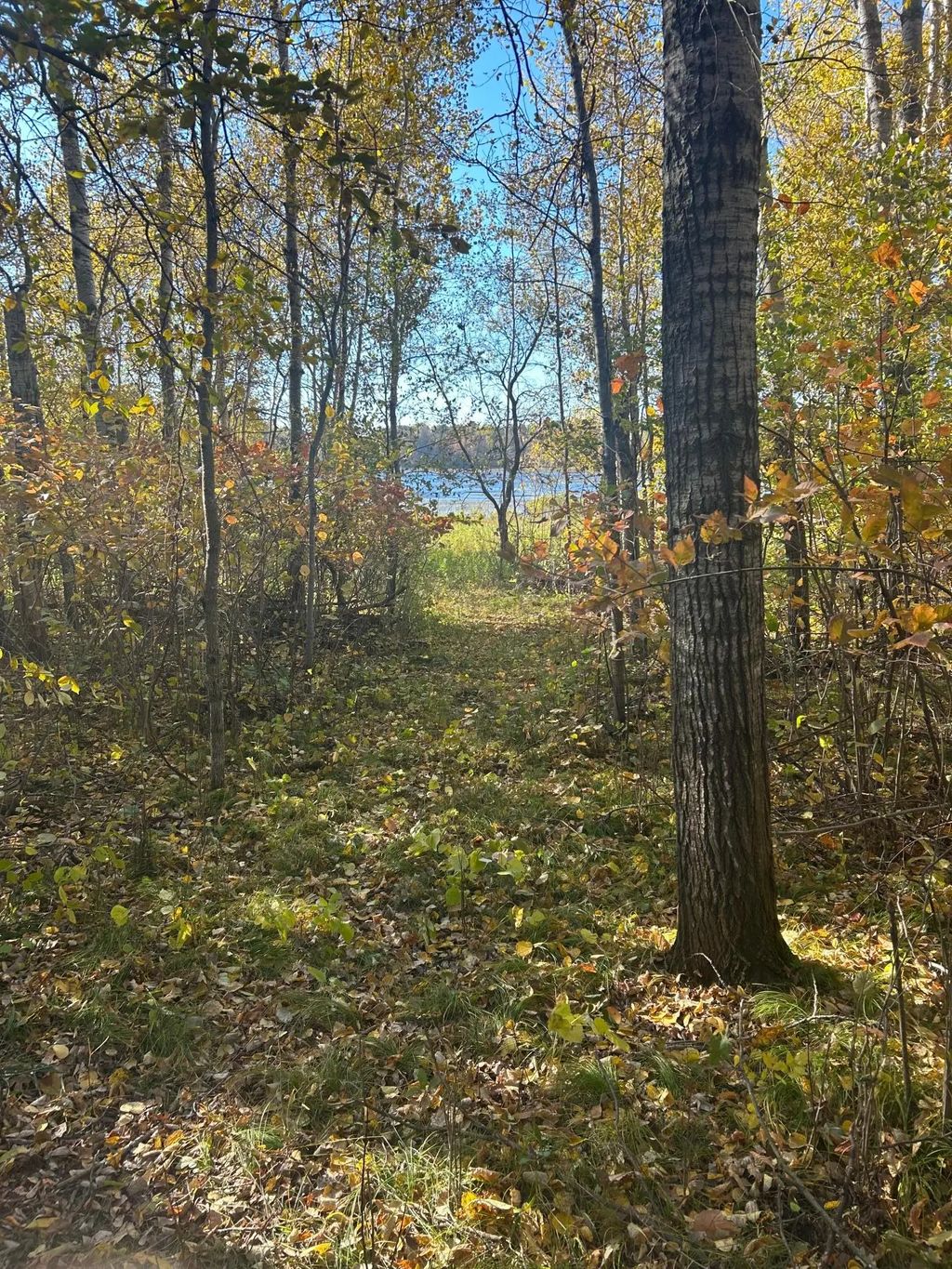 39xxx Osage Drive, Browerville