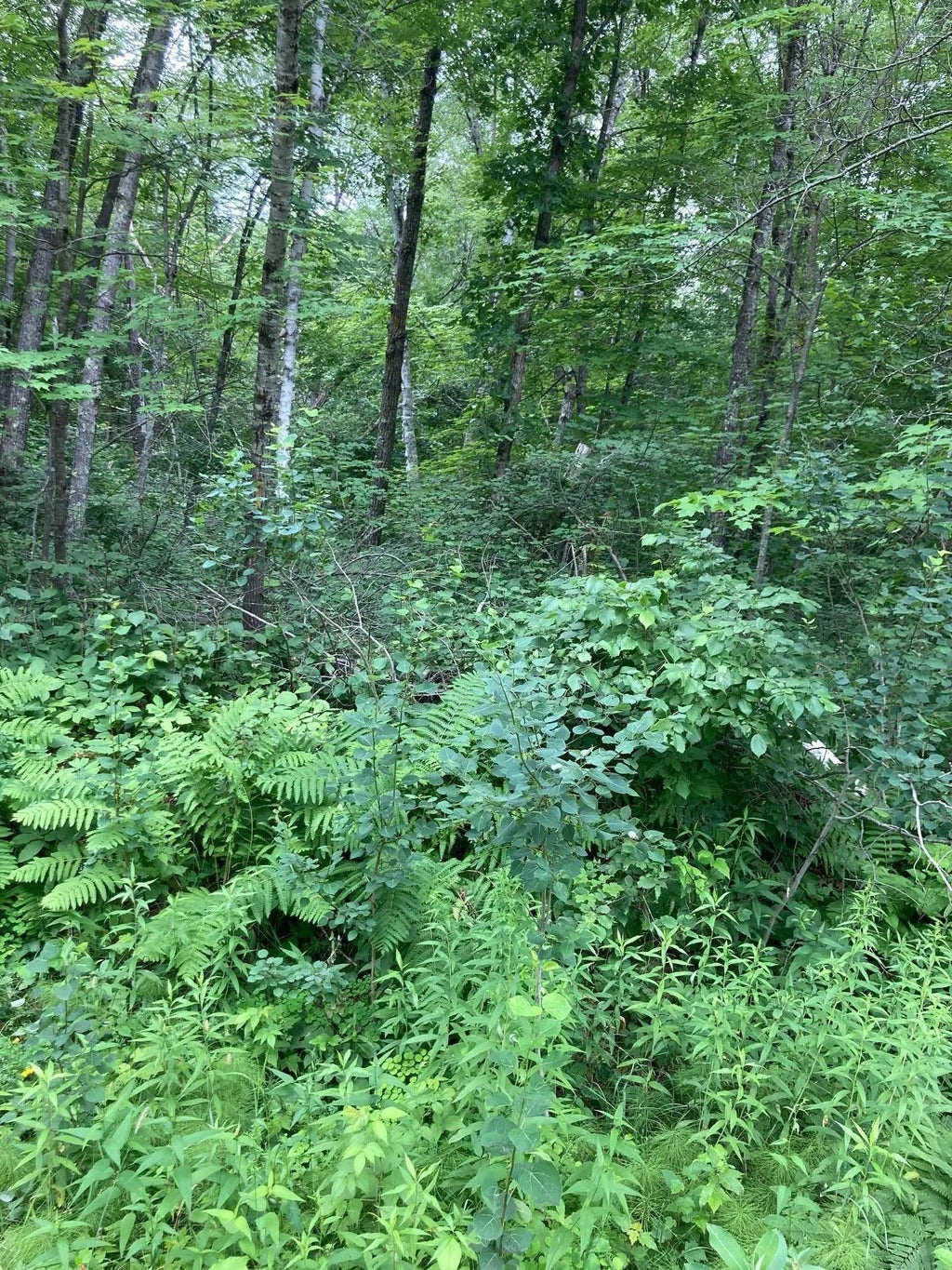 Lot 3 Summer Drive, Breezy Point