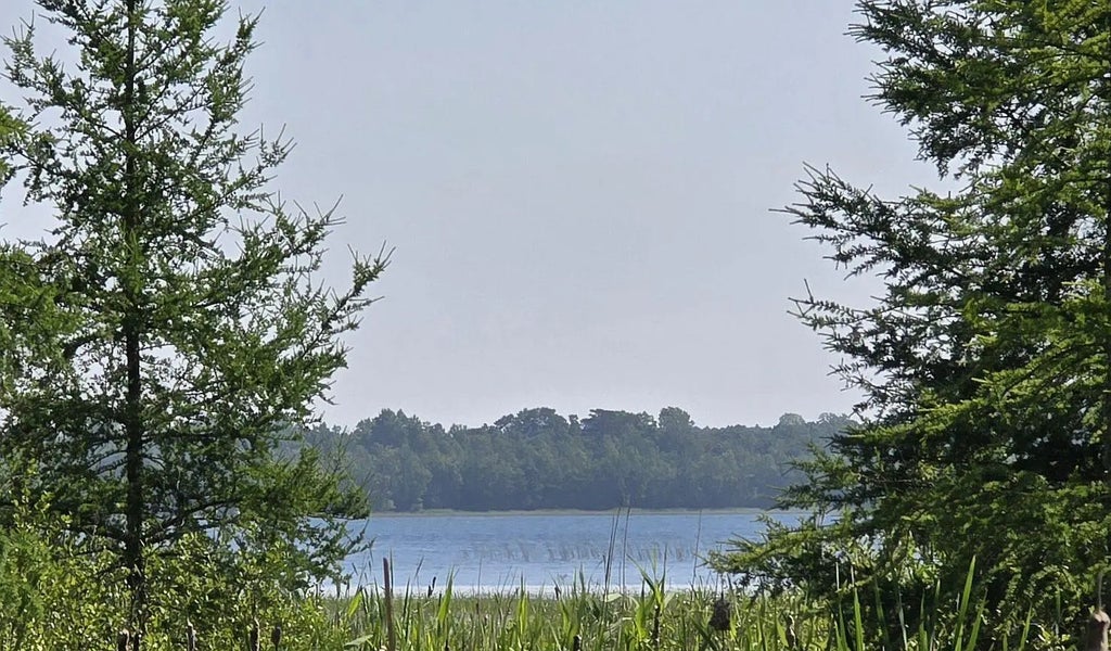 5136 Basswood Lane Ne, Bemidji