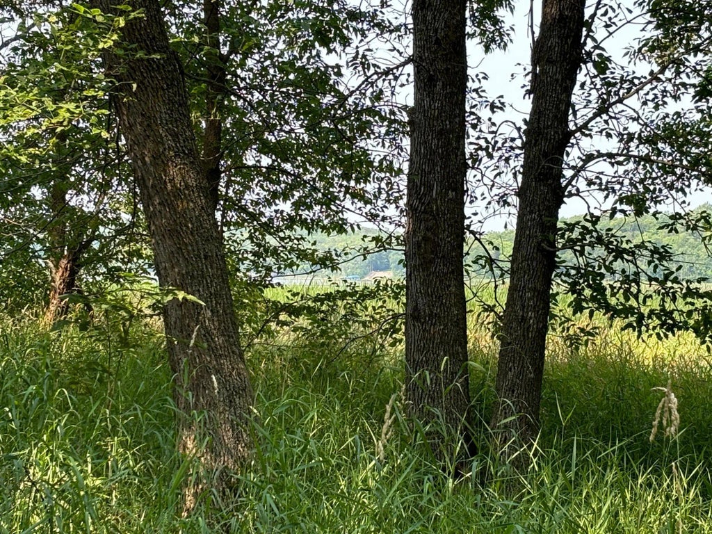 1250 Island Lake Resort Drive, Lengby