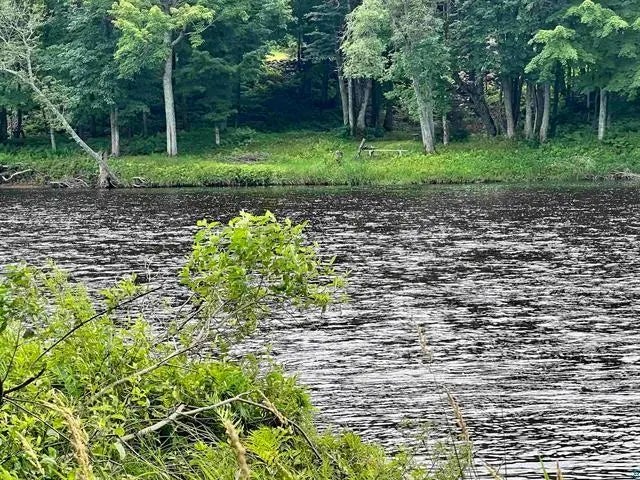 Xxx Chippewa Tr, Weirgor Twp