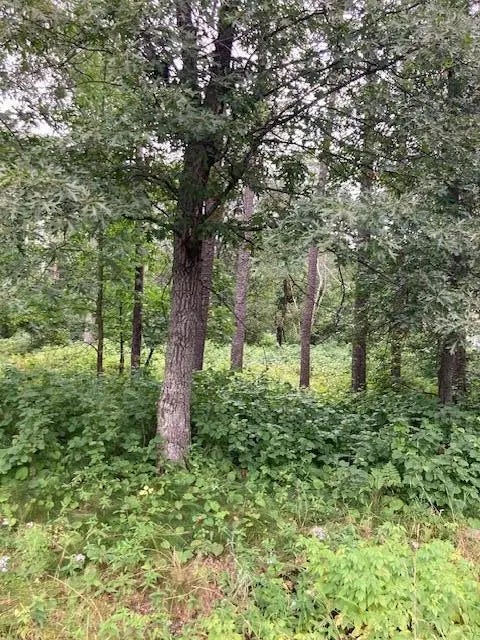 Lot 39 & 40 Owl Circle, Breezy Point