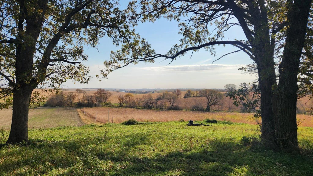 Xxxx Cty Rd 3, Byron