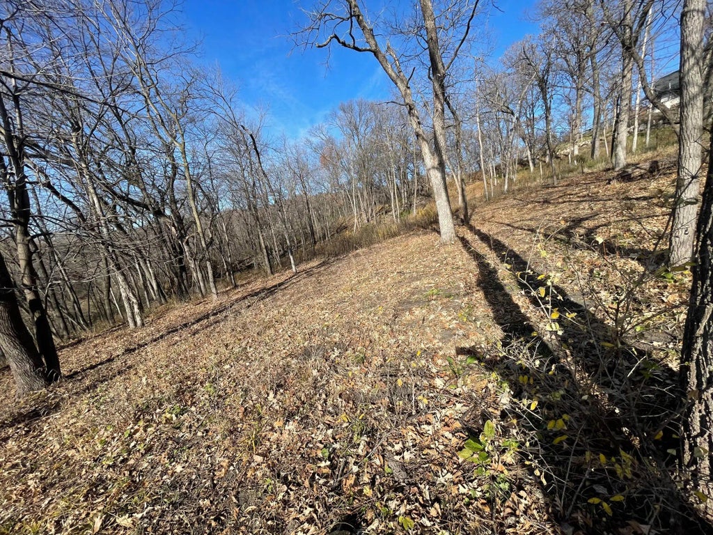 Xxxx Riverview Road, Eden Prairie