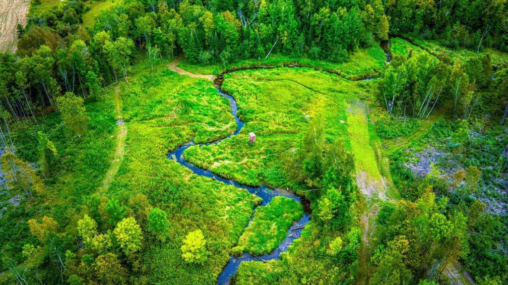 Lot 3 N Blackduck Lake Road Ne, Hines