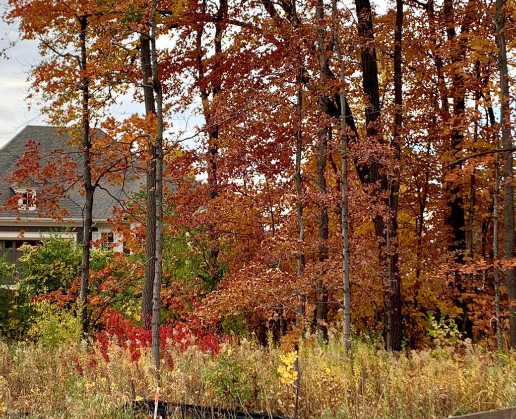 701 Shawnee Woods Road, Medina