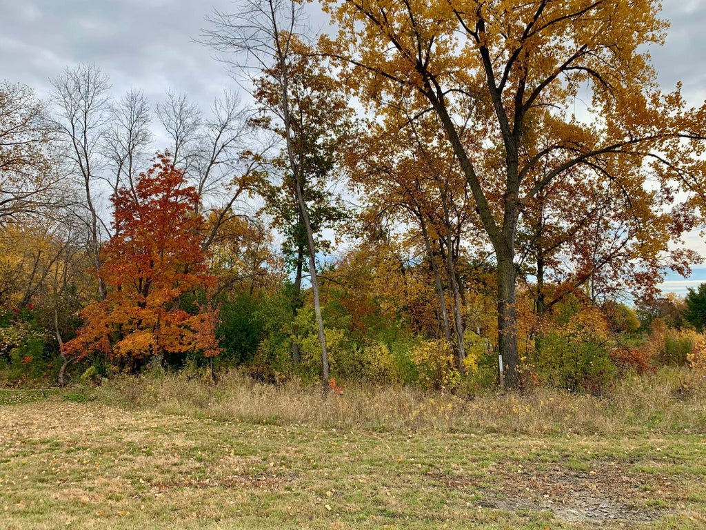 4400 Poppy Drive, Medina