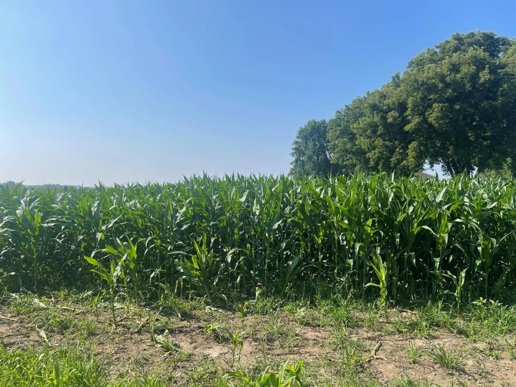 Xxx 590th, Hartland Twp