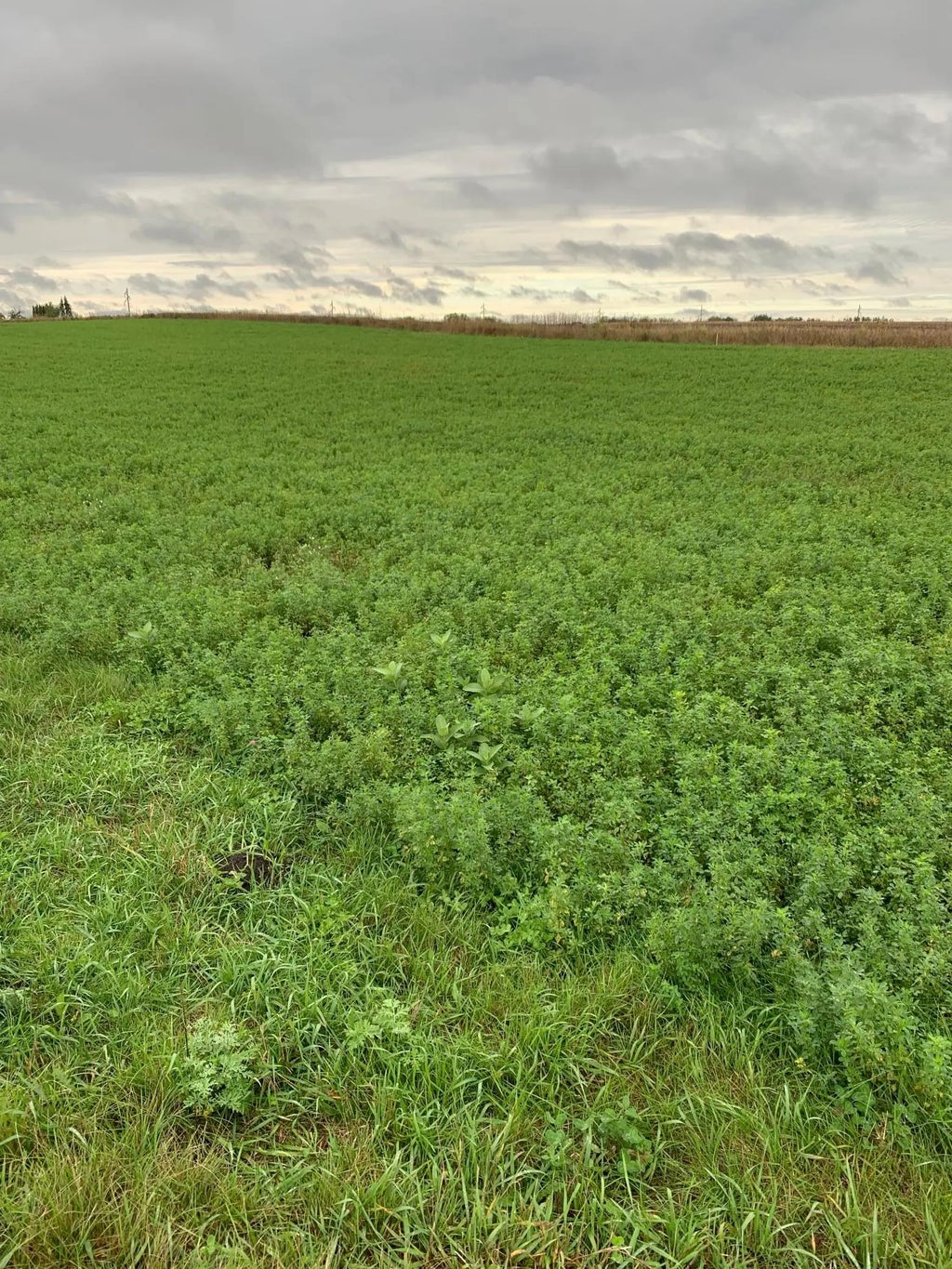 10630 Marty View Circle, Kimball