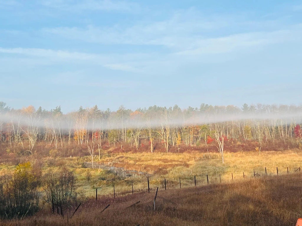 Xxx County Road 134, Pine River