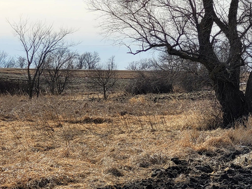 Xxxx County Road 7 Nw, Maple Lake