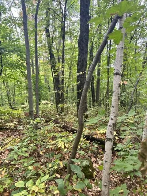 Xxx Lost Lake Trl, Cushing Twp