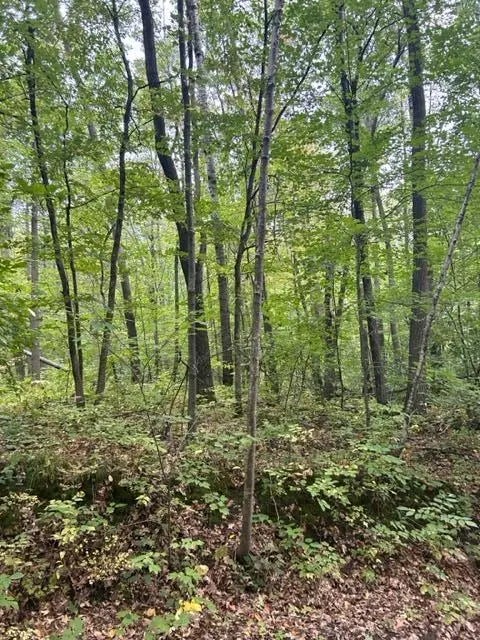 Xxx West Lake Camile Dr/topaz Trl, Cushing Twp