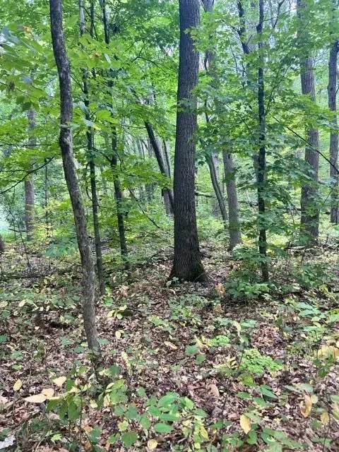 Xxx Cedar Rd/marble Dr, Cushing Twp