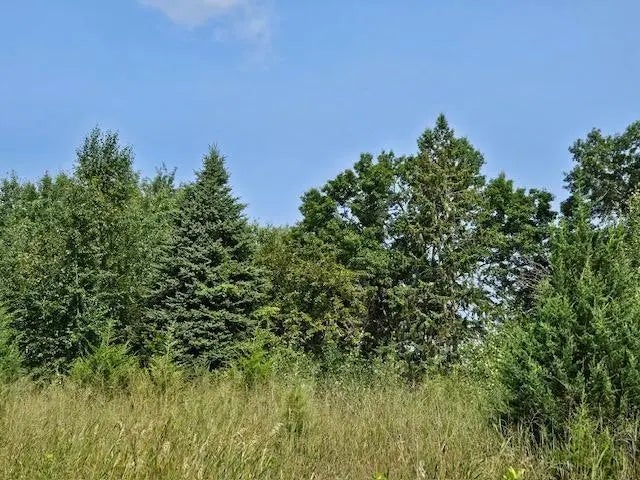 13502 Johnson Street, Becker