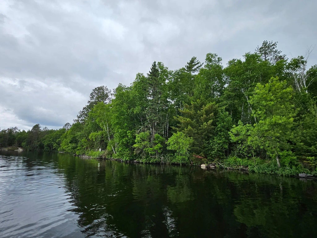 Xxx Hinsdale Island, Greenwood Twp