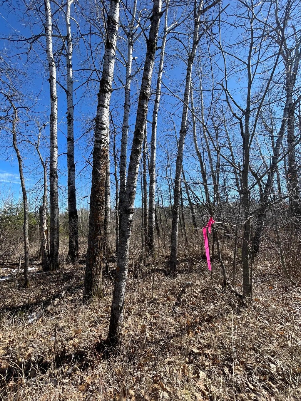 46962 Parcel B 269th Avenue, Laporte