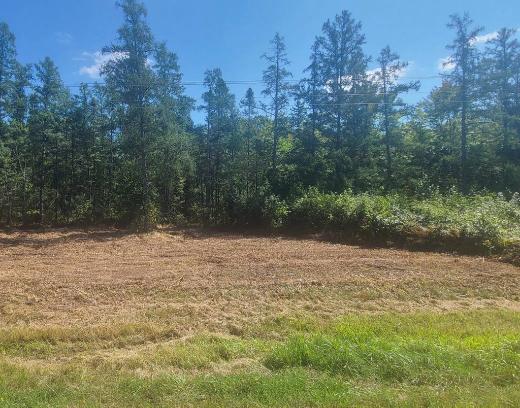 Tbd Us Hwy 77, Minong