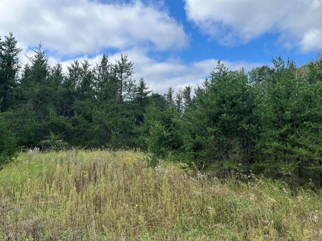 1707 Hassman Hill Tract D Road Sw, Pine River