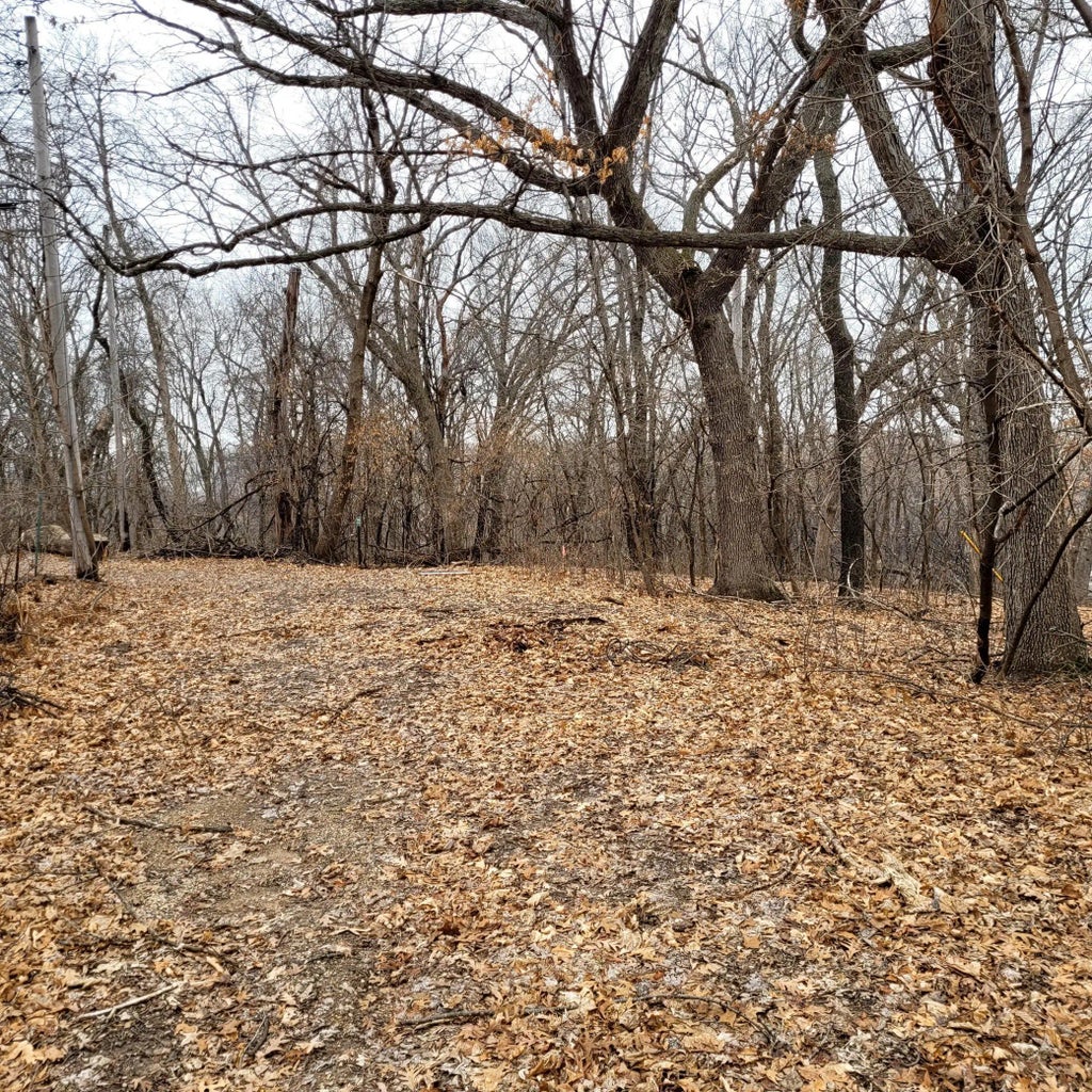 Xxxx Eriks Boulevard, Eagan