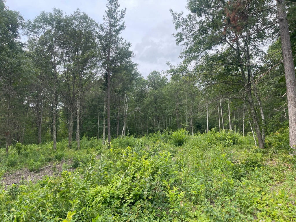 Lot 4 Patriot Ave, Pequot Lakes