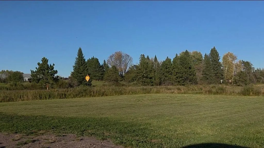 7542 Tamarack Street, Bruno