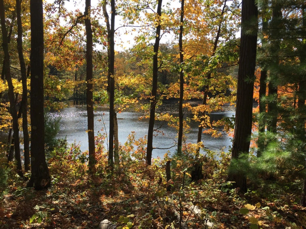 Xxx Old Highway 63, Barronett