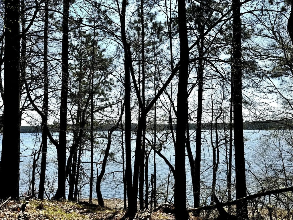 Tbd Rognaldson Road, Brainerd