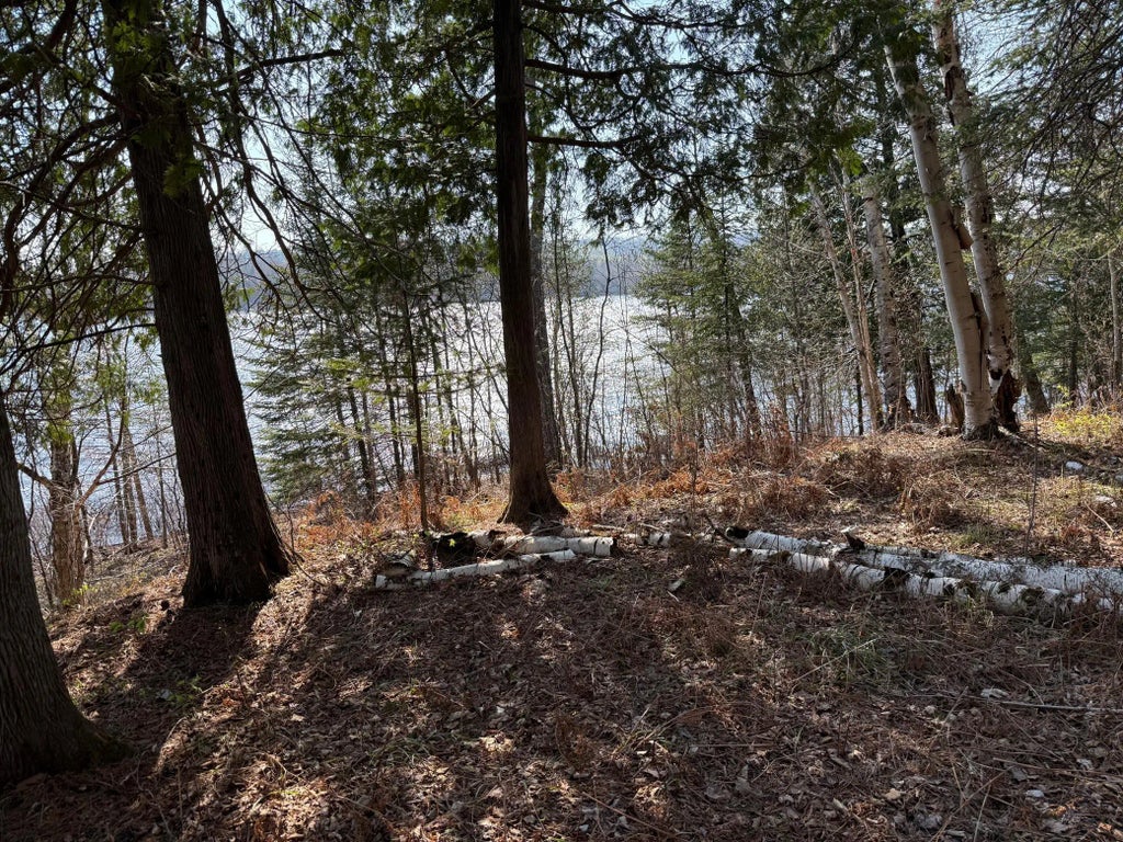 6041 Voyageurs Trail, Biwabik