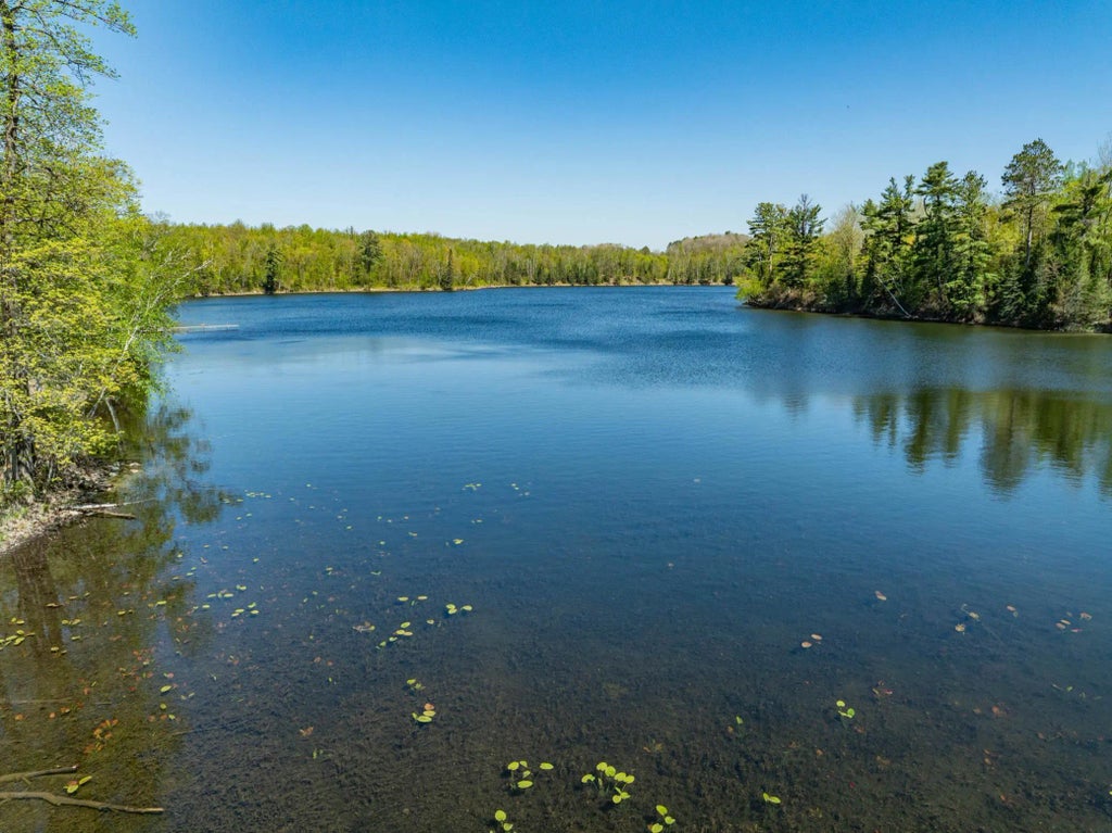 Xxx West Amen Lake Road, Deer River