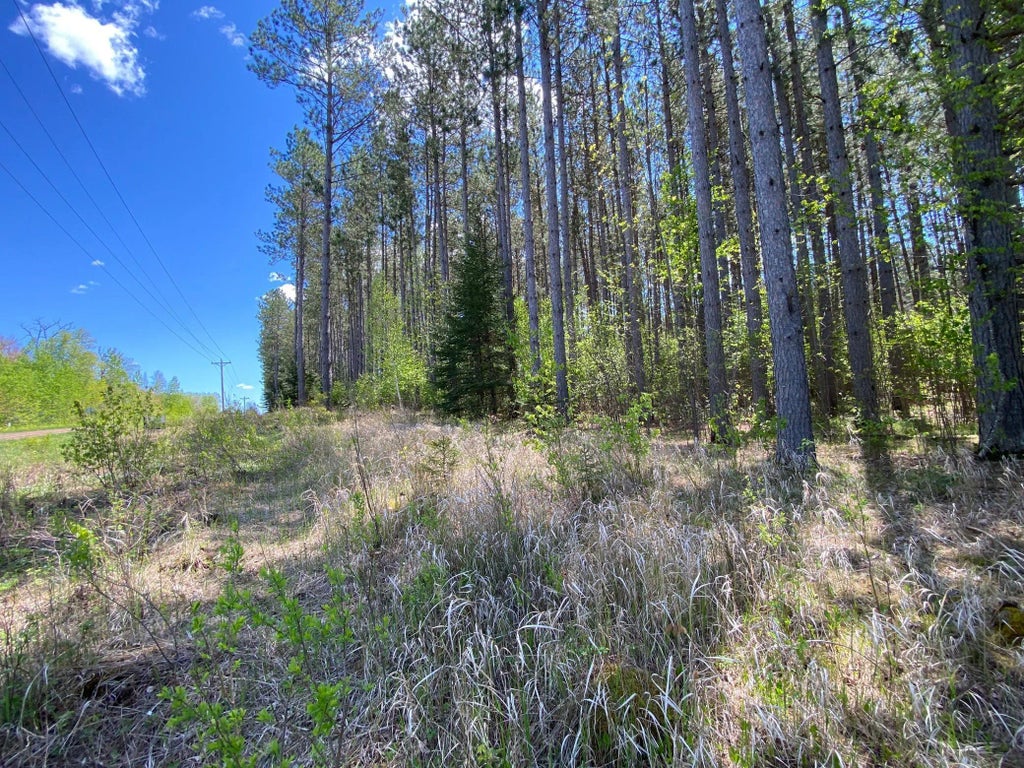 Xxxx Minkkinen Rd, Kalevala Twp