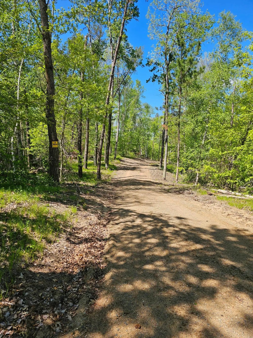 8366 Hidden Creek Court, Pequot Lakes