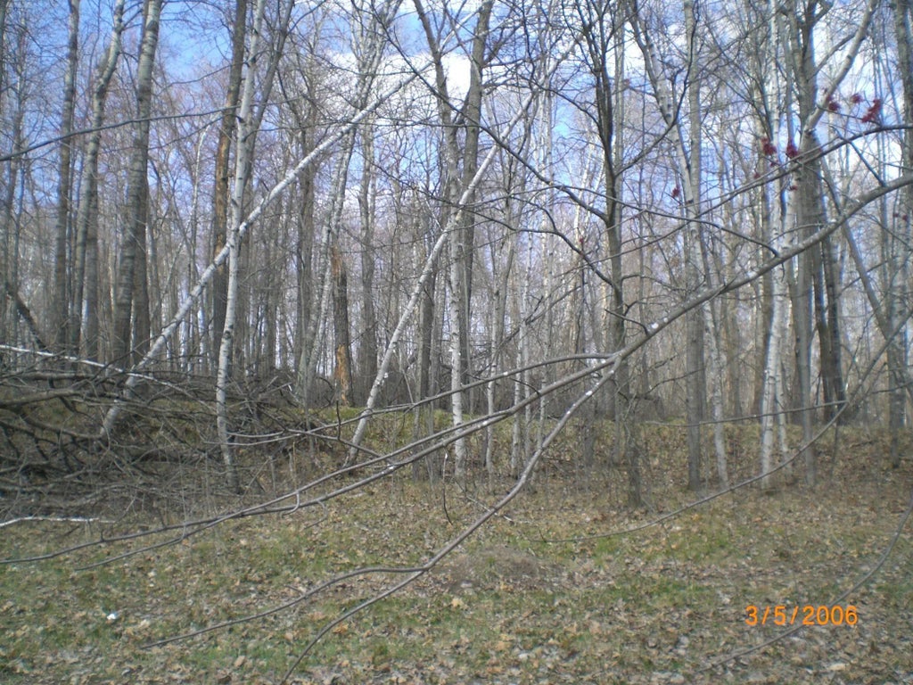 Lot 211 Catskill Circle, Breezy Point
