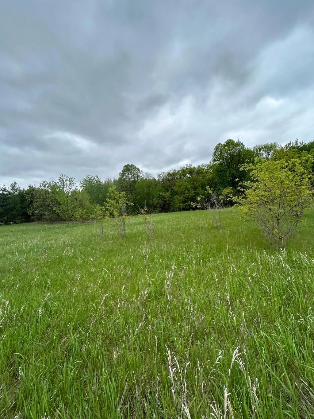 Xxx Calico Trail, Motley