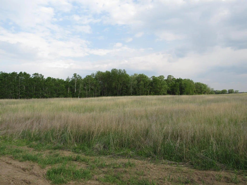 Tbd 12th Parcel 9 Sw, Backus