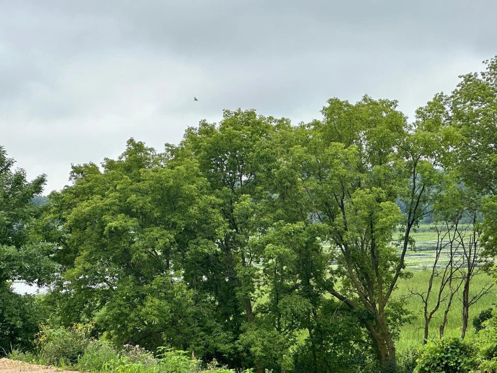 Tbd County Road 43, Chaska