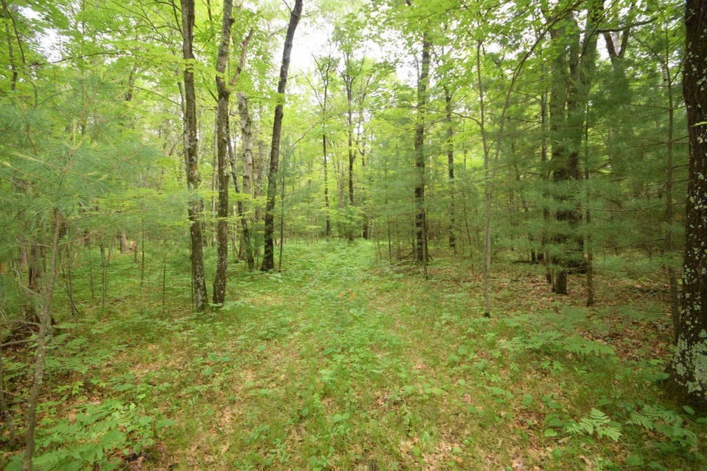 Tbd Helsene Road, Webster