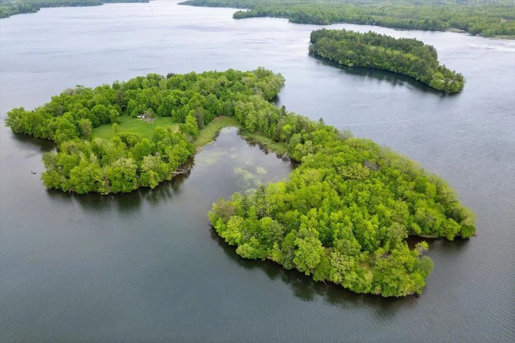 X Garbutt Island, Birchwood