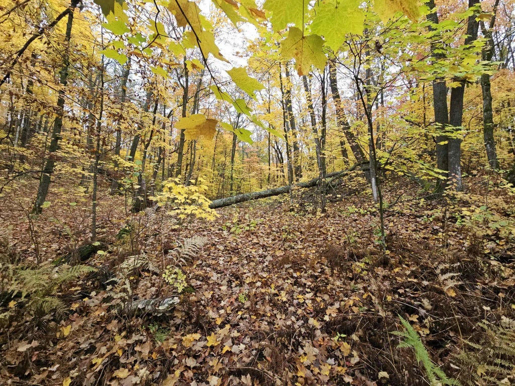 Lot 26 Block 1 Westward Ho, Roosevelt Twp