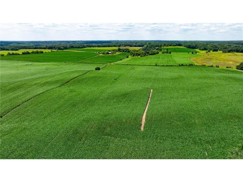 15xxx Paul Avenue N, May Twp