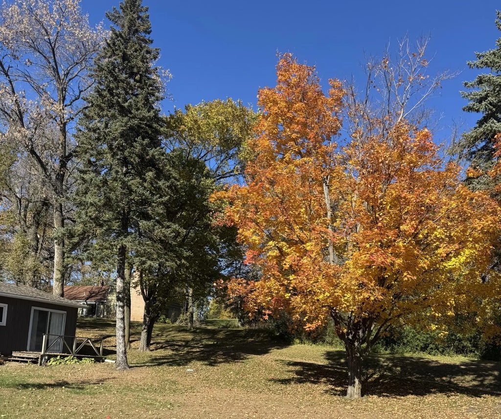 14224 Skyline Drive, Spicer