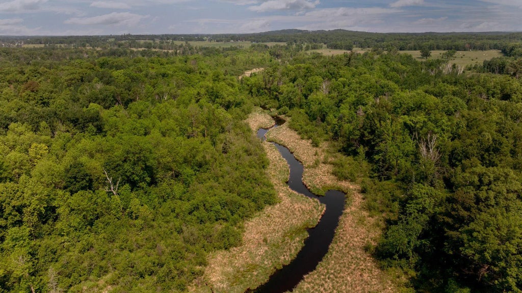 Tbd 52nd Street Sw, Maple Twp