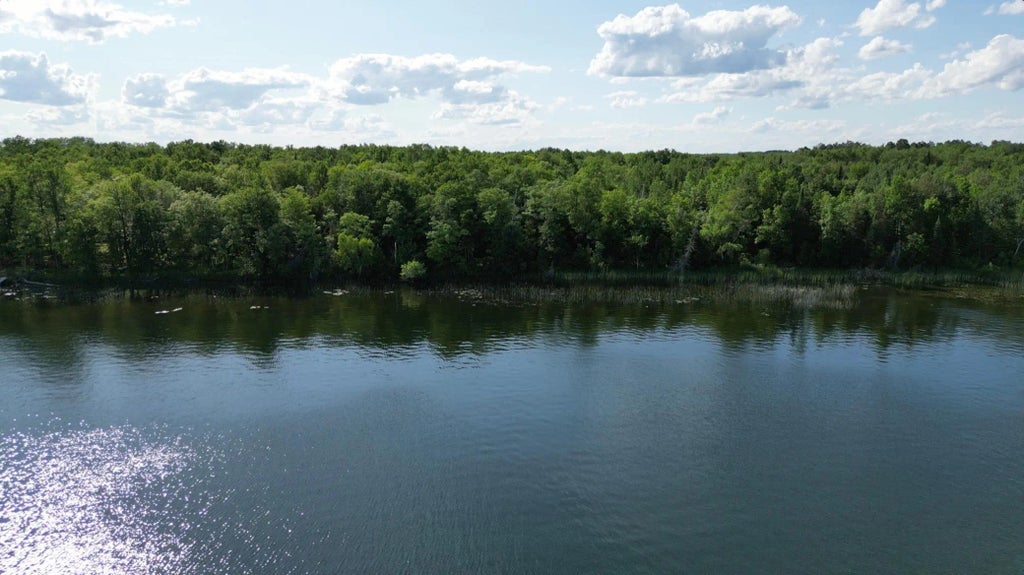 Tbd N Moose Lake Road Ne, Moose Lake Twp