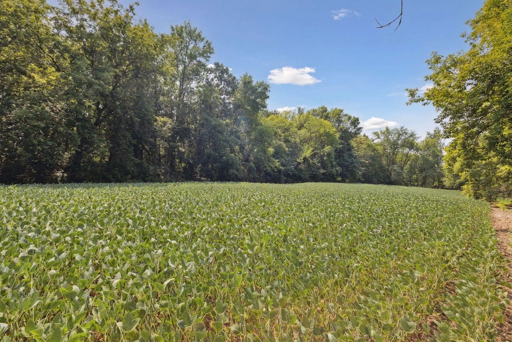 24x1 Holy Name Drive, Medina