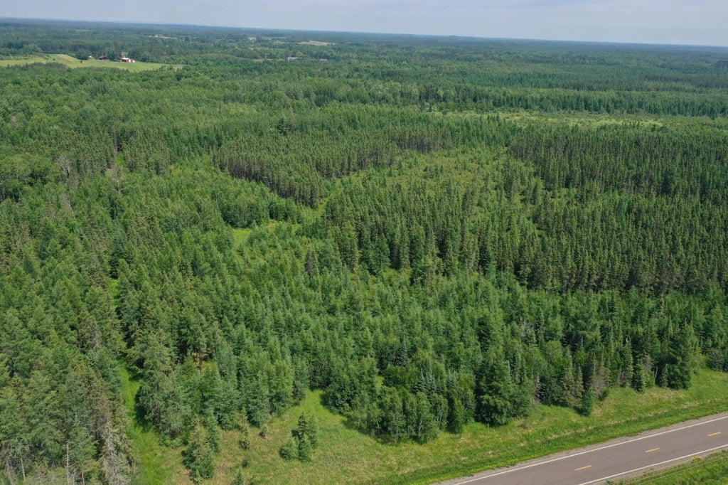 Tbd Arkola Rd., Cotton