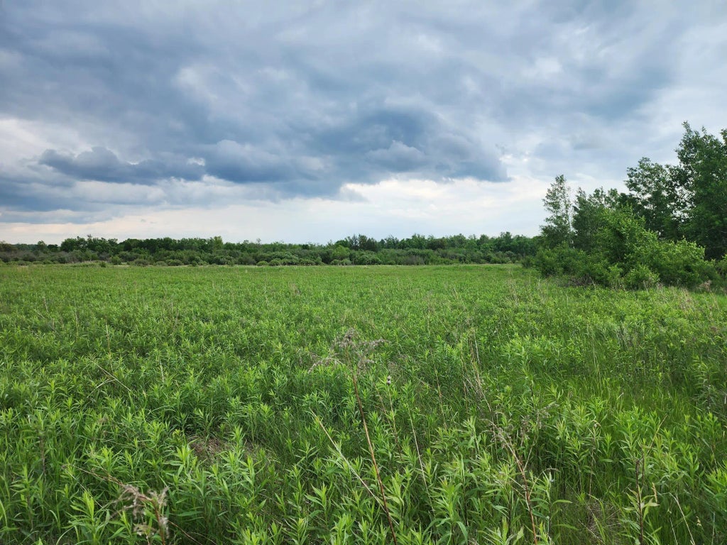 Tbd Rice Road, Mission Creek Twp